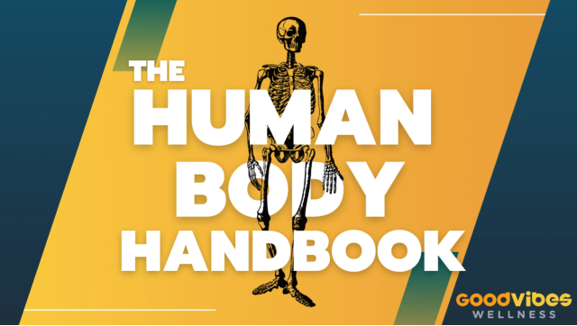 Human Body Handbook Ep. 6 - The Lines, the Spines, and Trying Times.