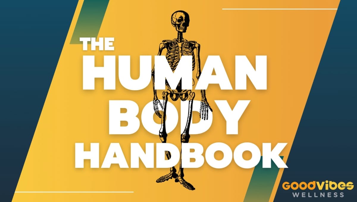 Human Body Handbook Ep. 1