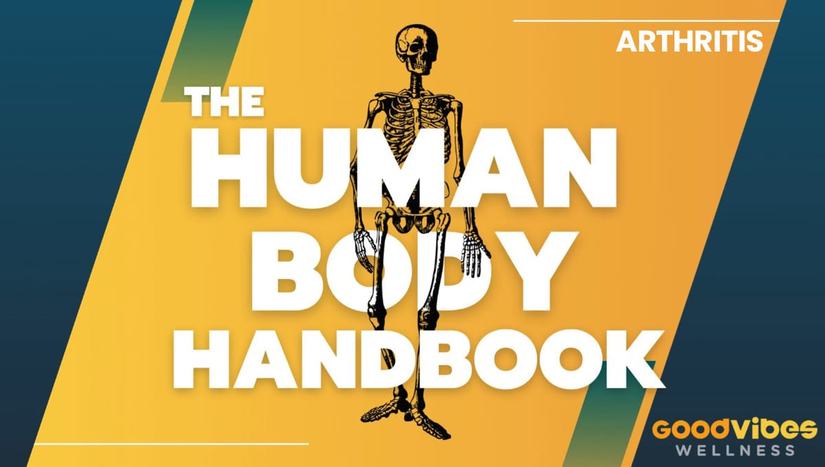 Human Body Handbook Ep. 2