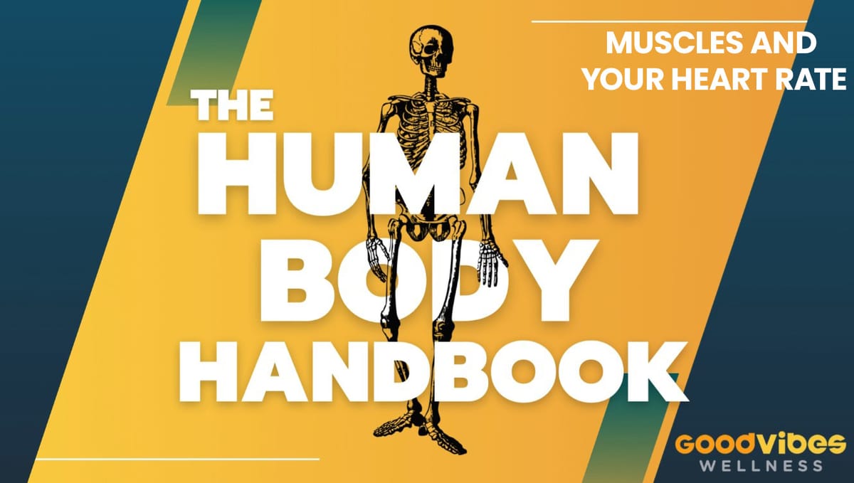 Human Body Handbook Ep. 3