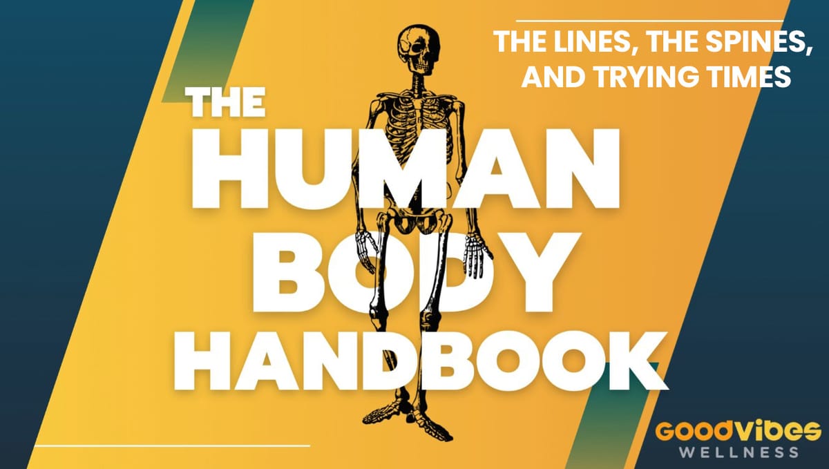 Human Body Handbook Ep. 6