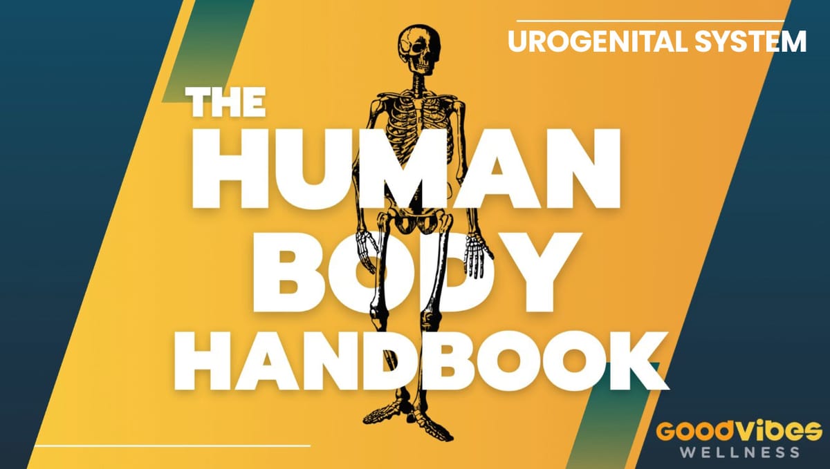 Human Body Handbook Ep. 9