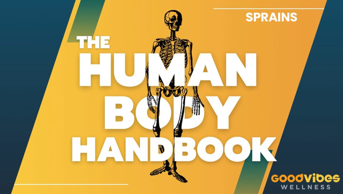 Human Body Handbook Ep. 10